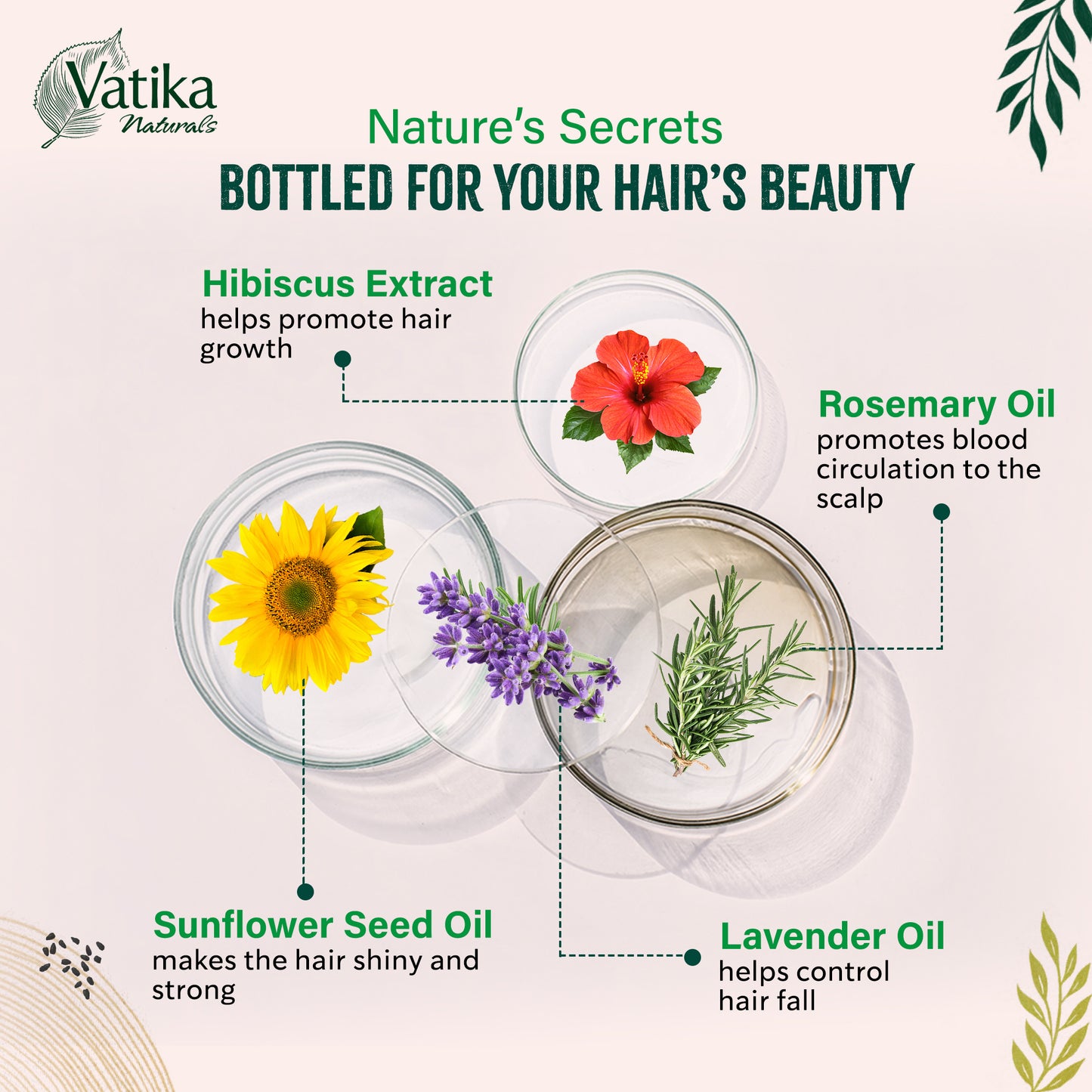 Vatika Naturals Hibiscus Lavender Ritual Hair Oil